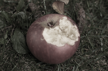 Photo by Andrew Johnson on Unsplash