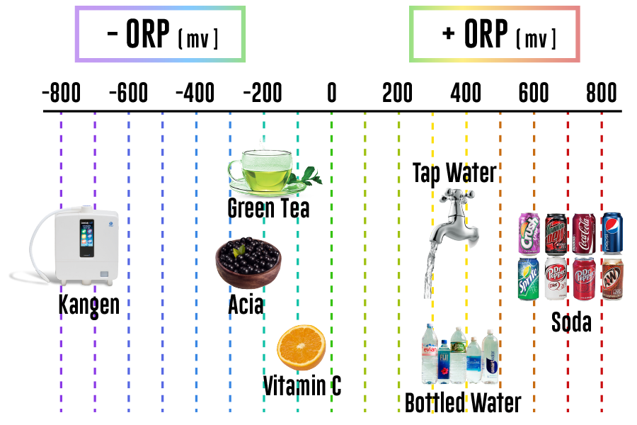 ORP Scale